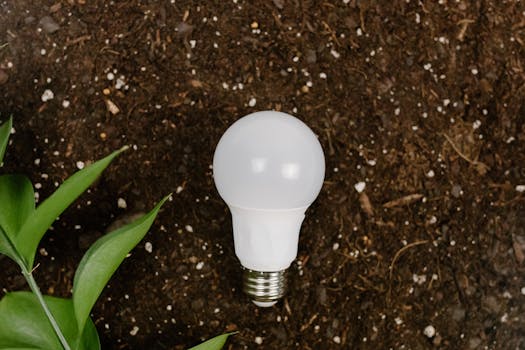 Slash Public Energy Costs with LED Lighting: A Brighter, Greener Future